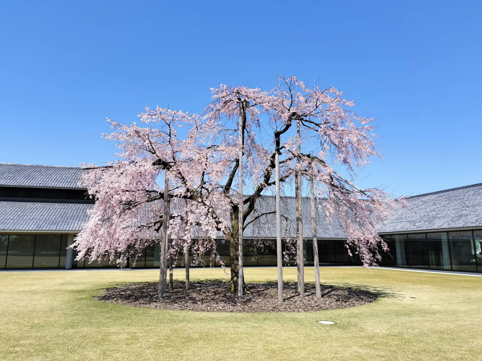 館内から眺める庭園-0