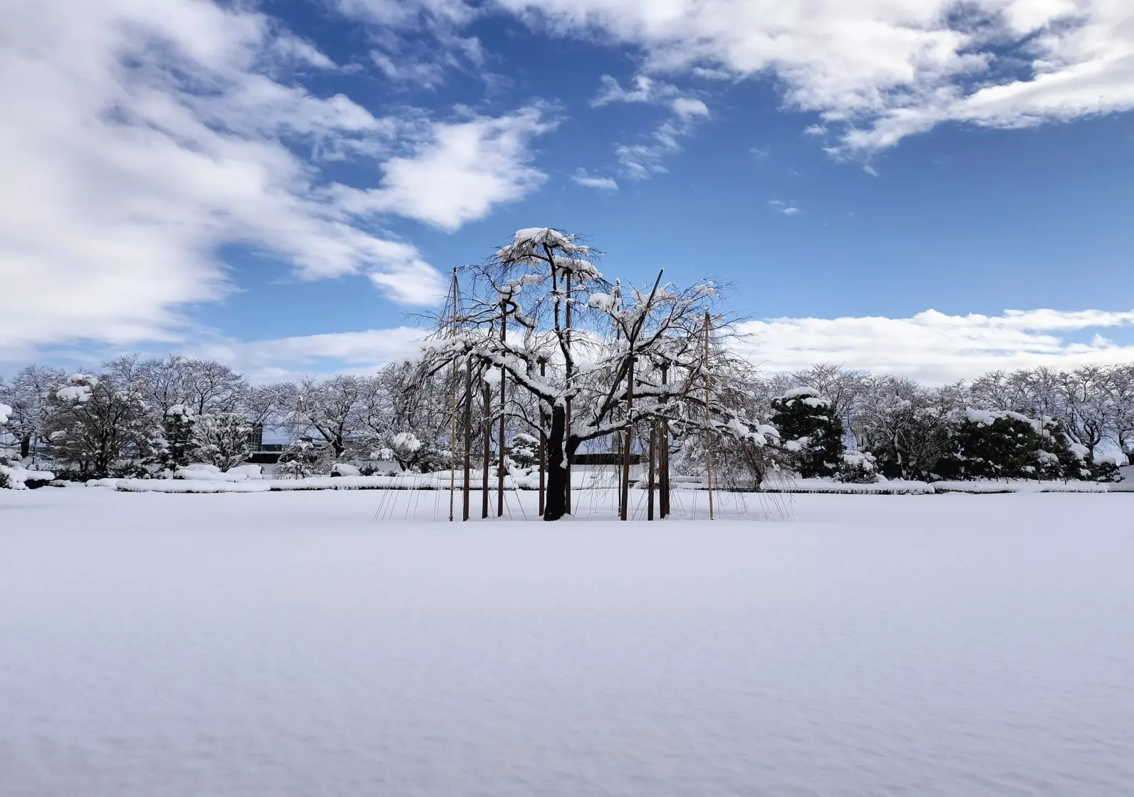 館内から眺める庭園-2