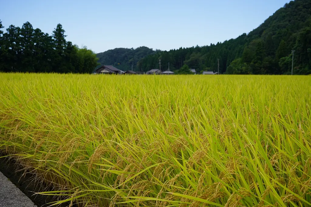 近くのオススメスポット「東山円筒分水槽（ひがしやまえんとうぶんすいそう）」と「魚津桃山運動公園」-4