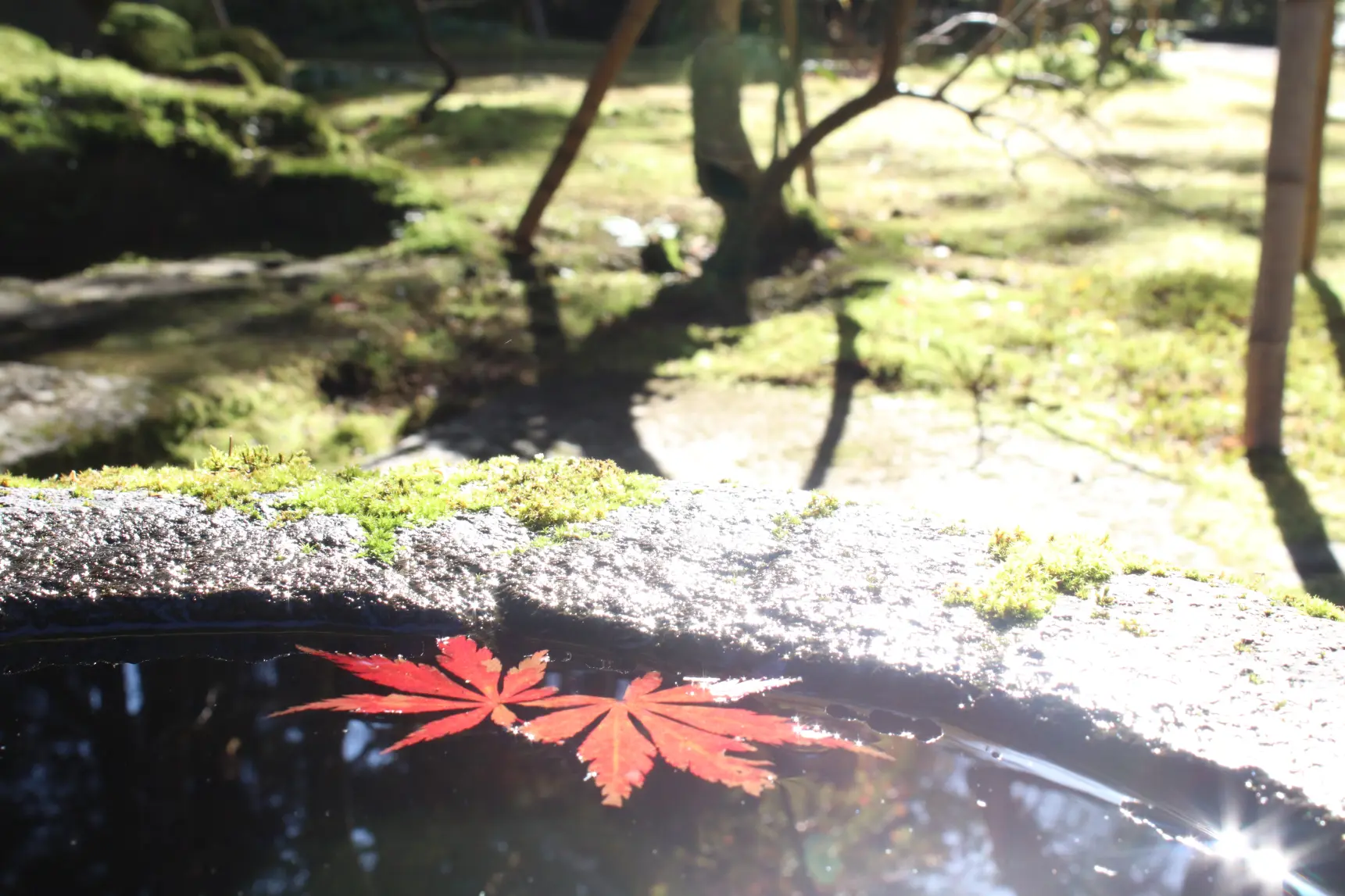 芦峅寺で山岳信仰にふれる-3