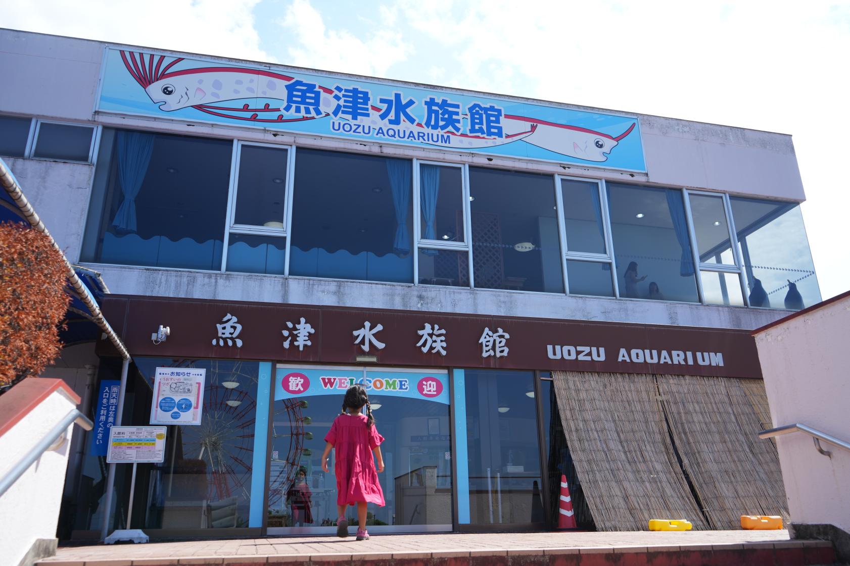日本最古の「魚津水族館」！今年、創立110年を迎えました！-0