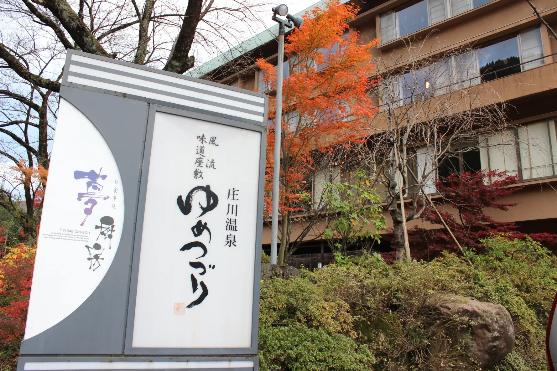 チェックインで、手作りわらび餅に舌鼓-0