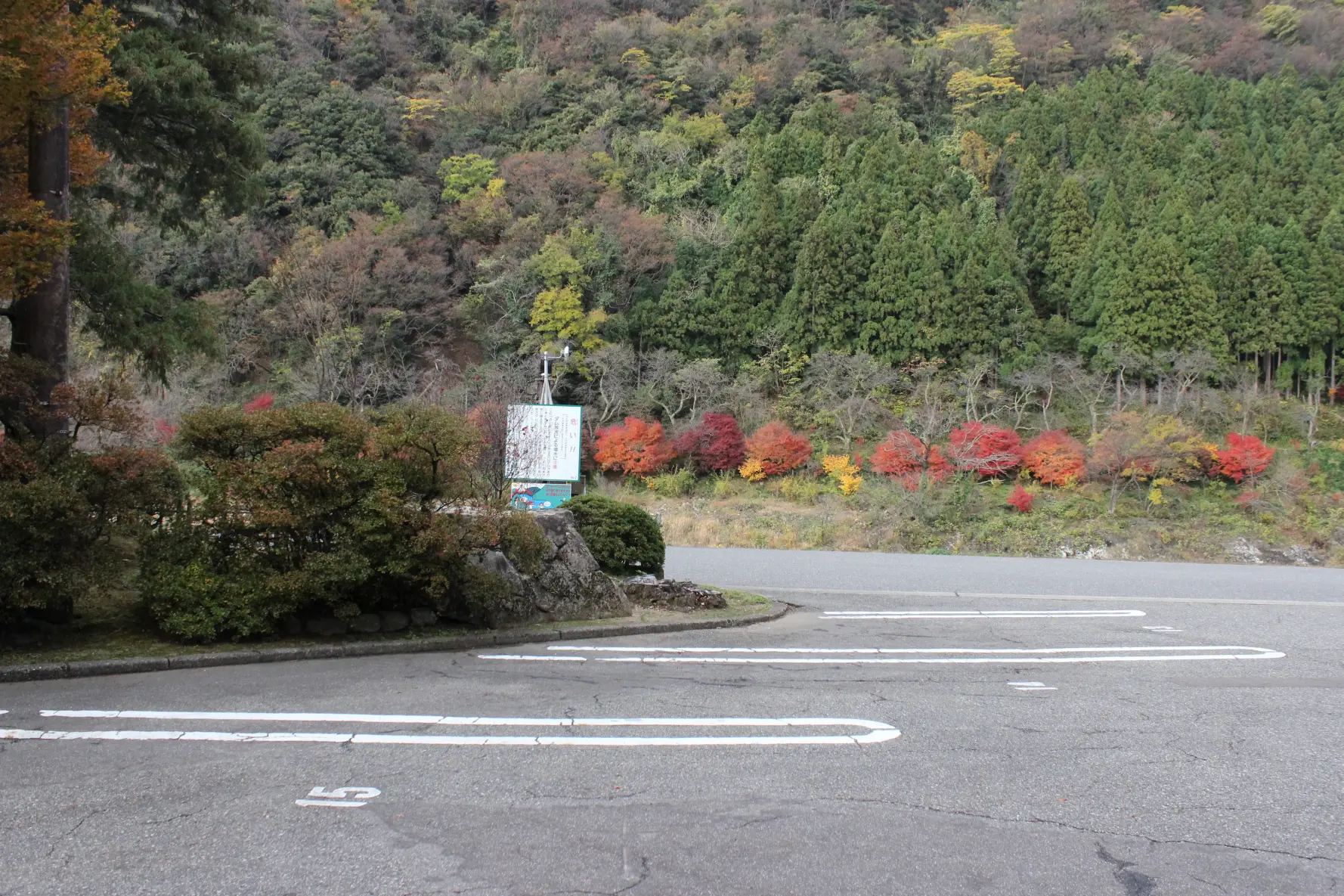 チェックインで、手作りわらび餅に舌鼓-2