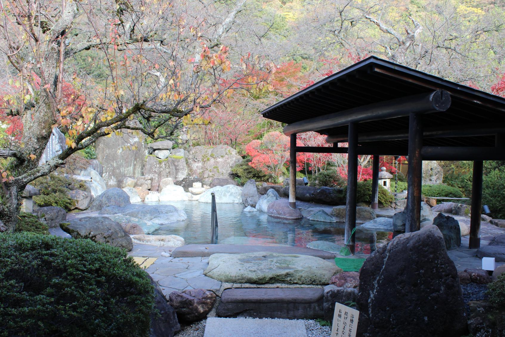日本庭園に面した温泉-1