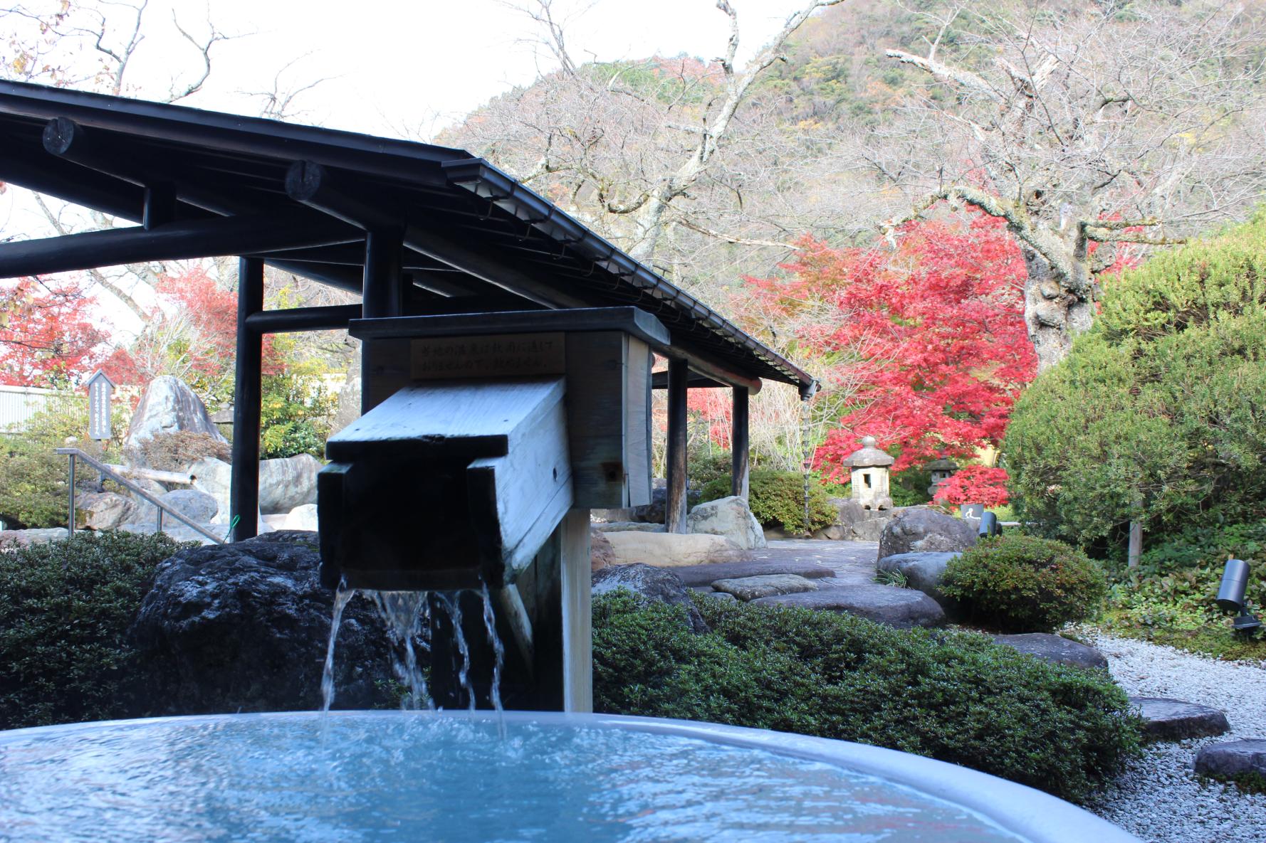 日本庭園に面した温泉-3