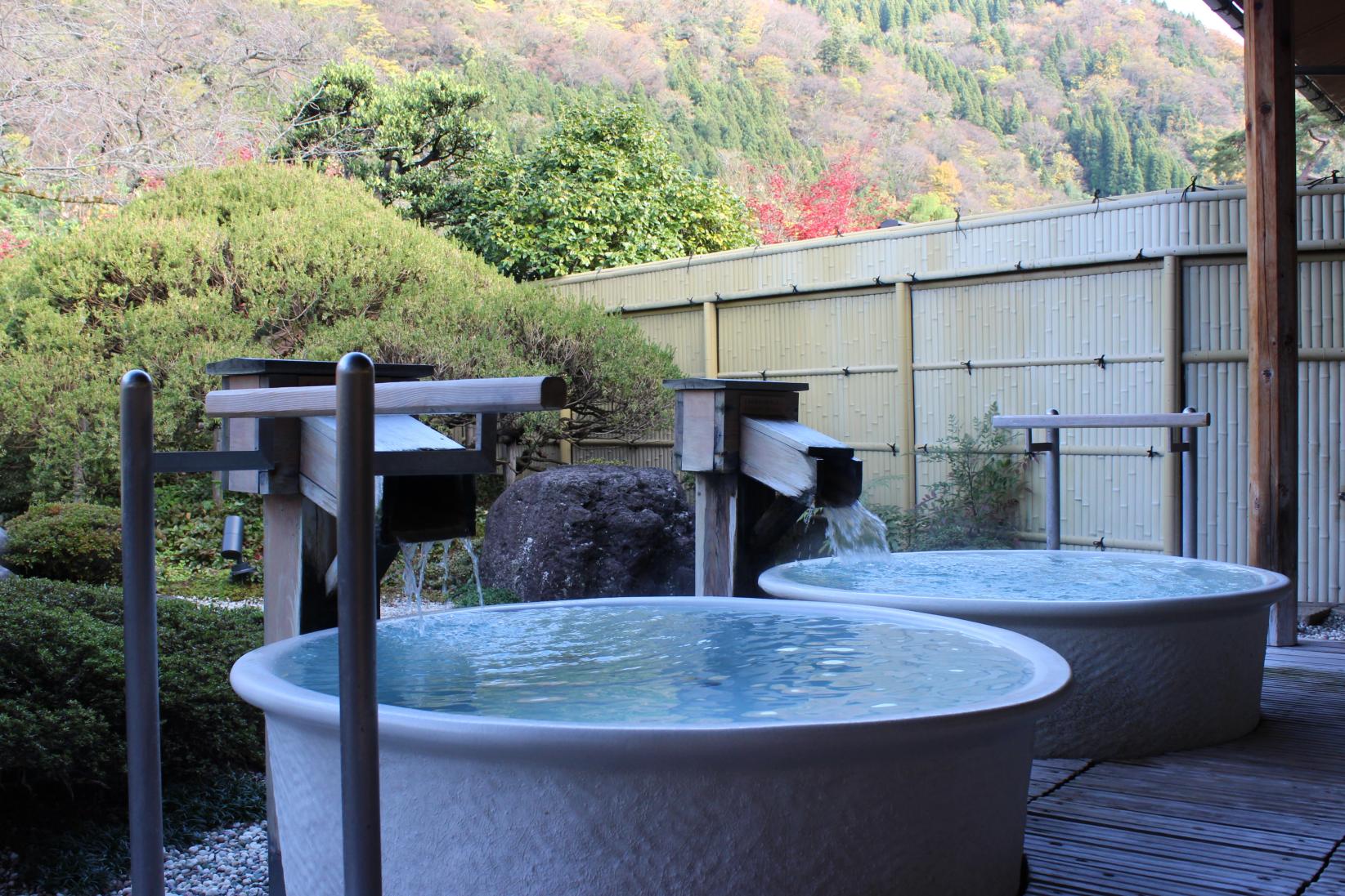 日本庭園に面した温泉-2