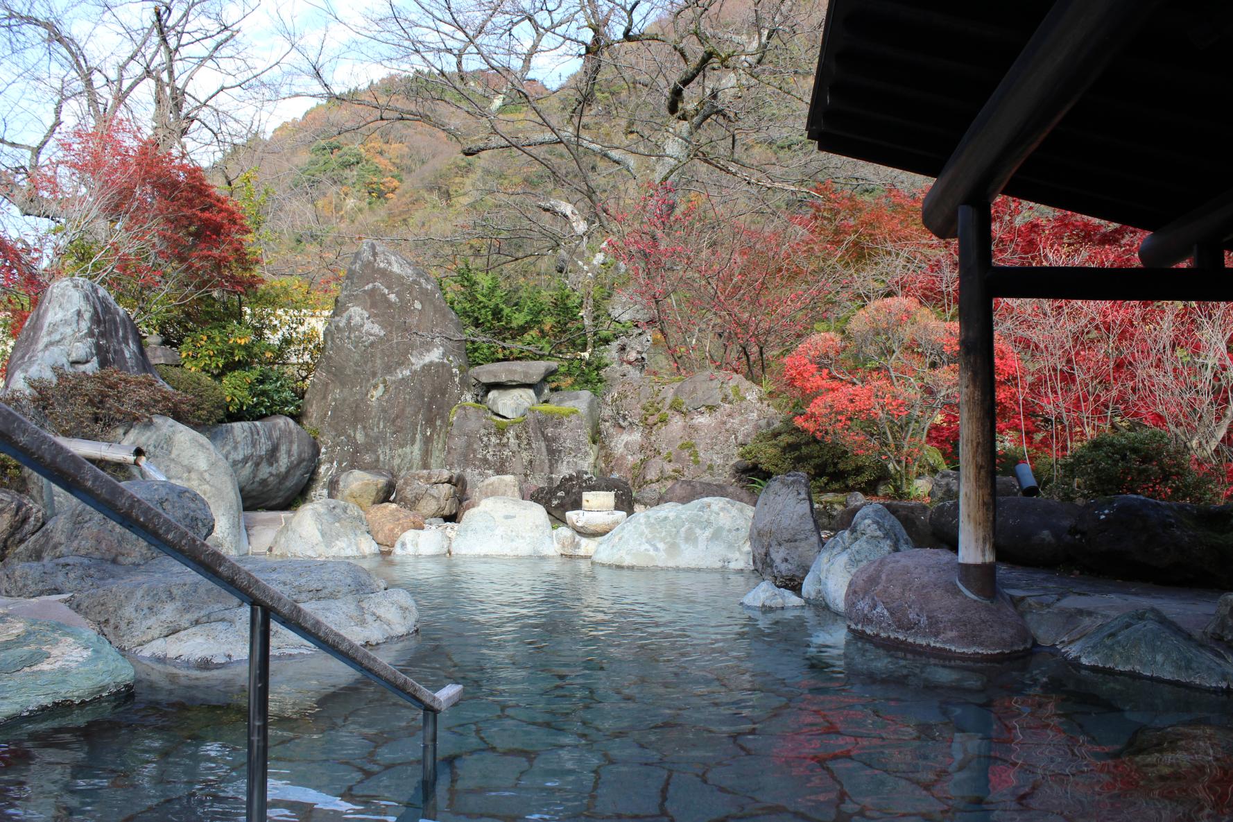 日本庭園に面した温泉-0