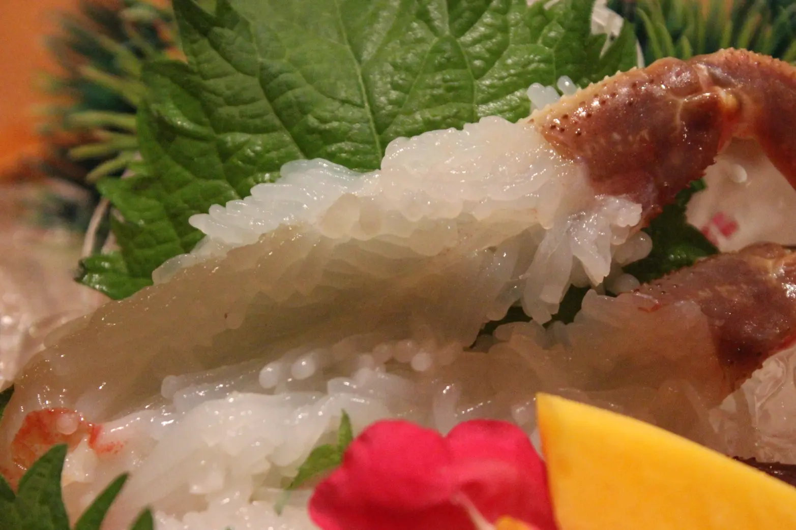 「蟹会席」で本ズワイガニを堪能！-4