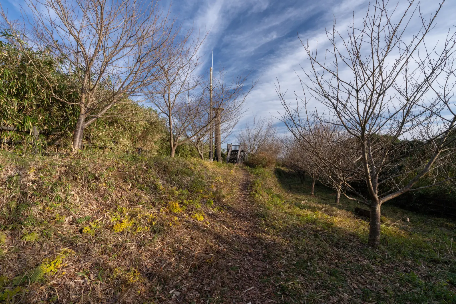 ４．阿尾城跡展望台-1