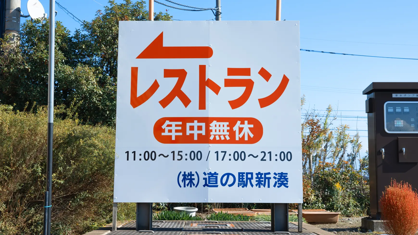 白エビのシーちゃんがお出迎え！-2