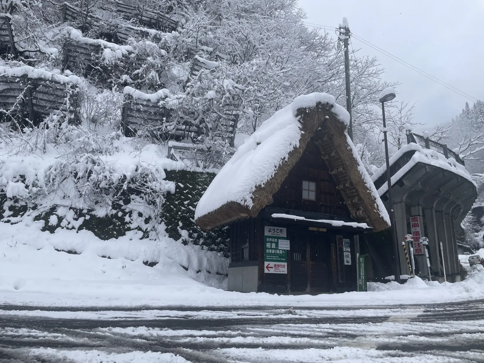 「相倉口」で下車-1