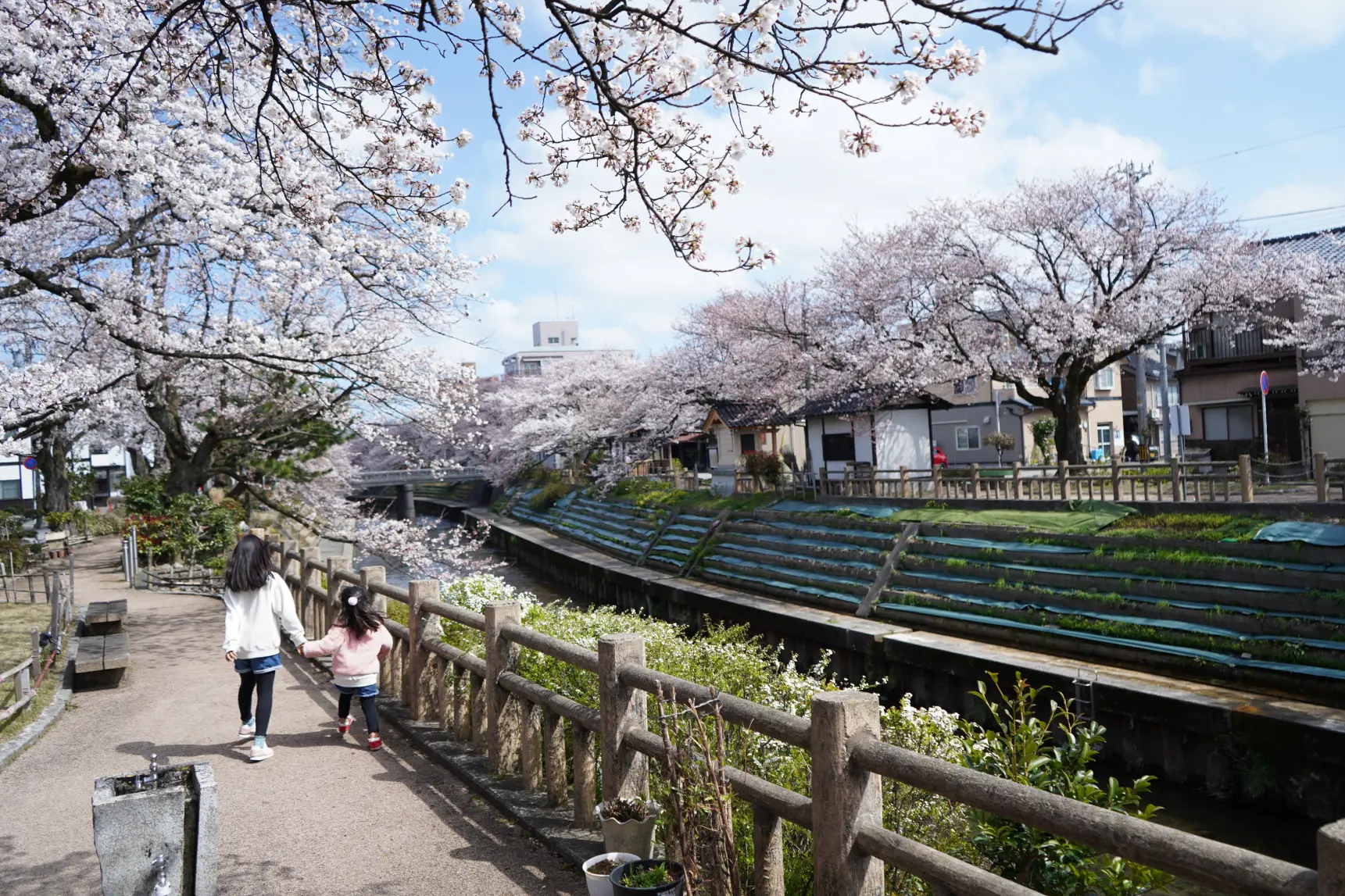 【魅力⑤】のんびりゆっくり過ごせる「いたち川」-1