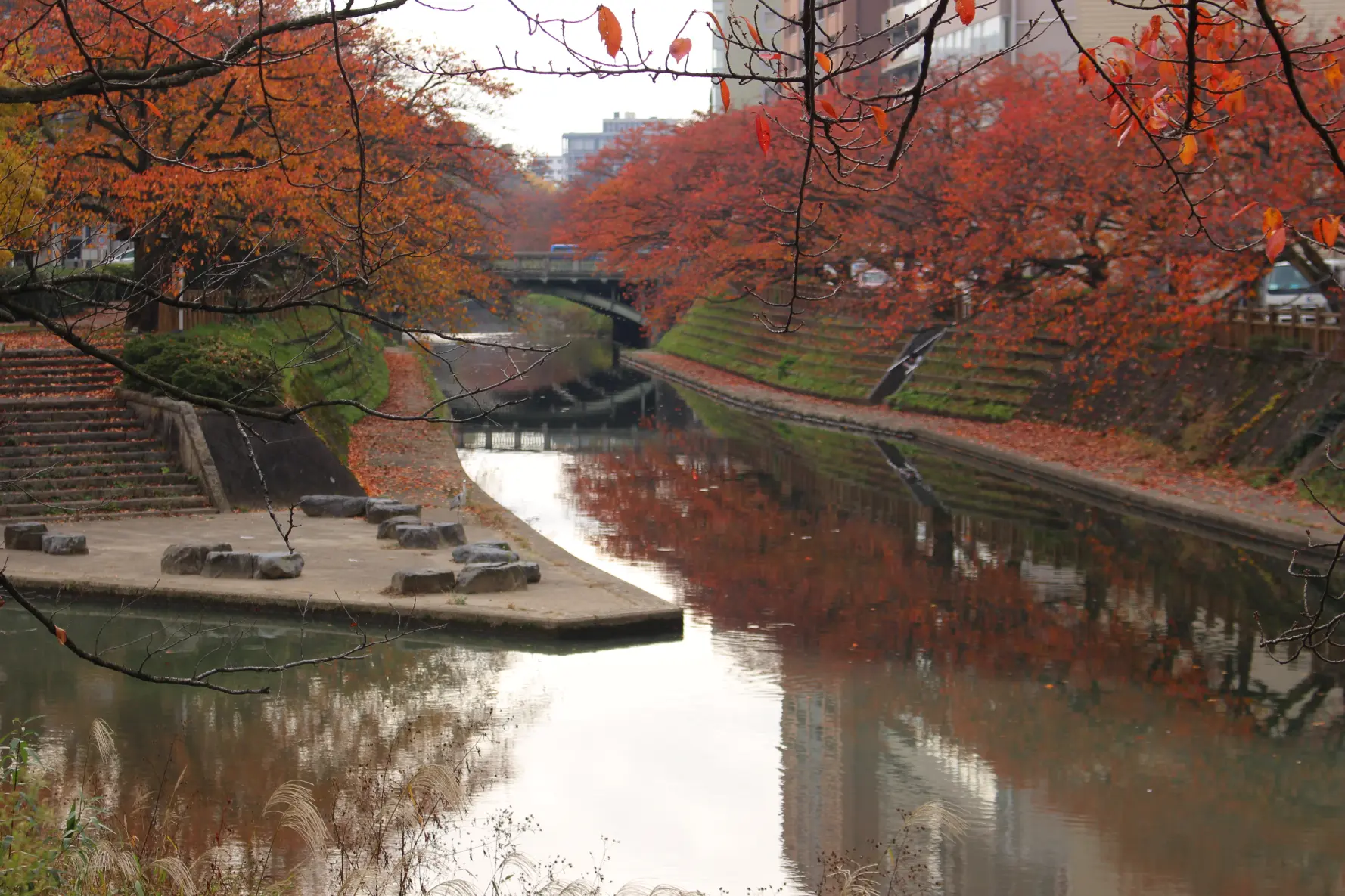 【番外編】四季折々の美しさを感じられる「松川」と「いたち川」-2