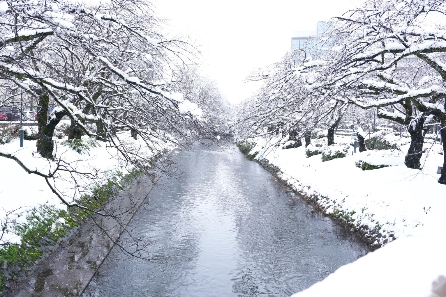 【番外編】四季折々の美しさを感じられる「松川」と「いたち川」-5