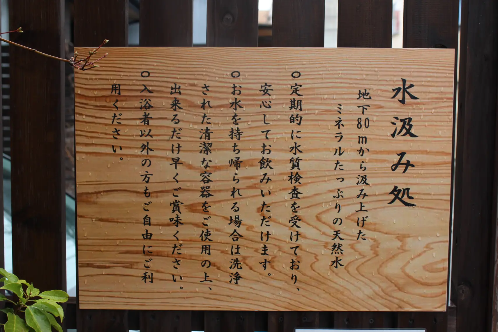 入り口には湧き水が！-4