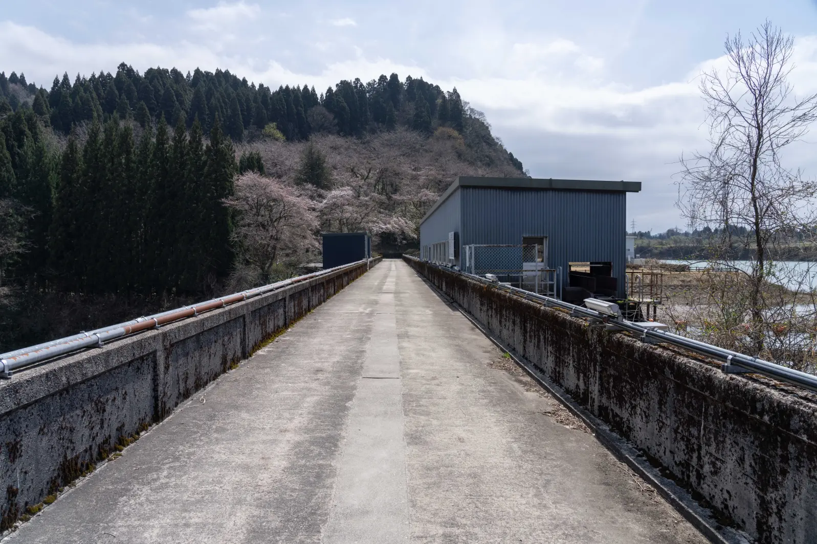 『増山城（砺波市）』 国指定史跡 《続日本100名城》-1