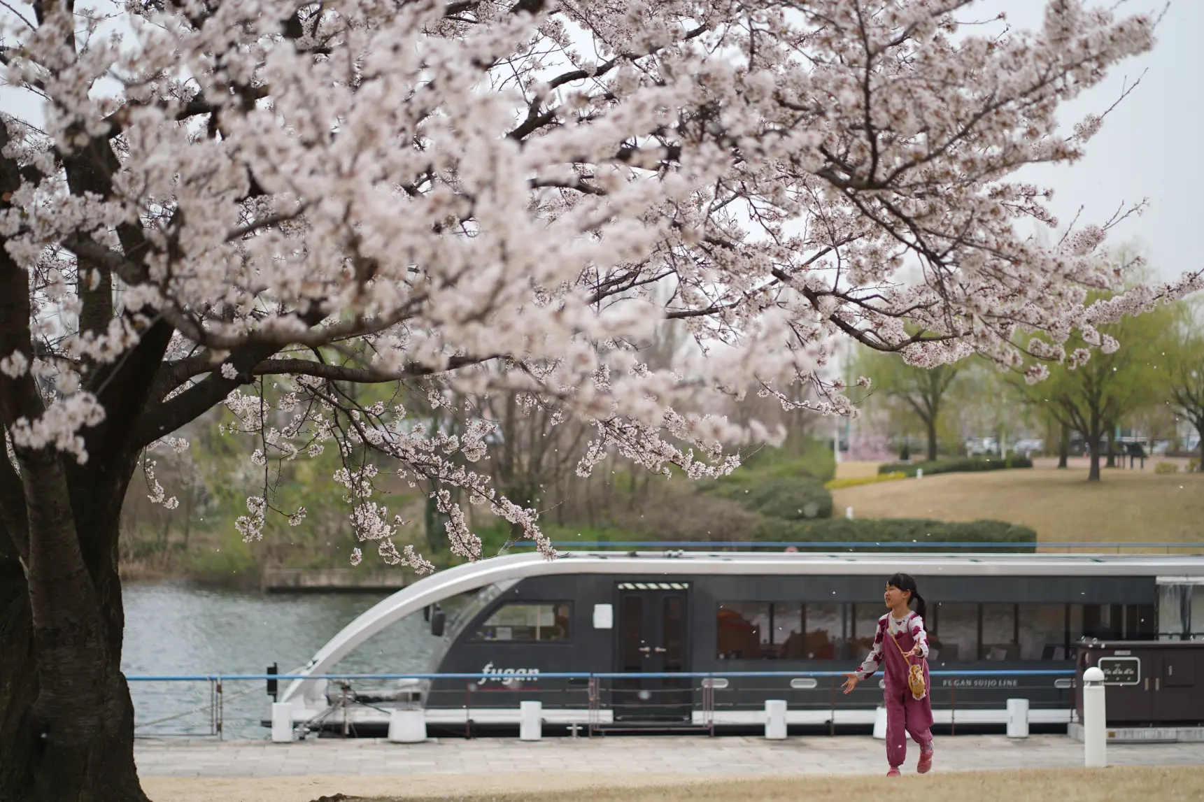 いつ訪れても美しい「富岩運河環水公園」-4