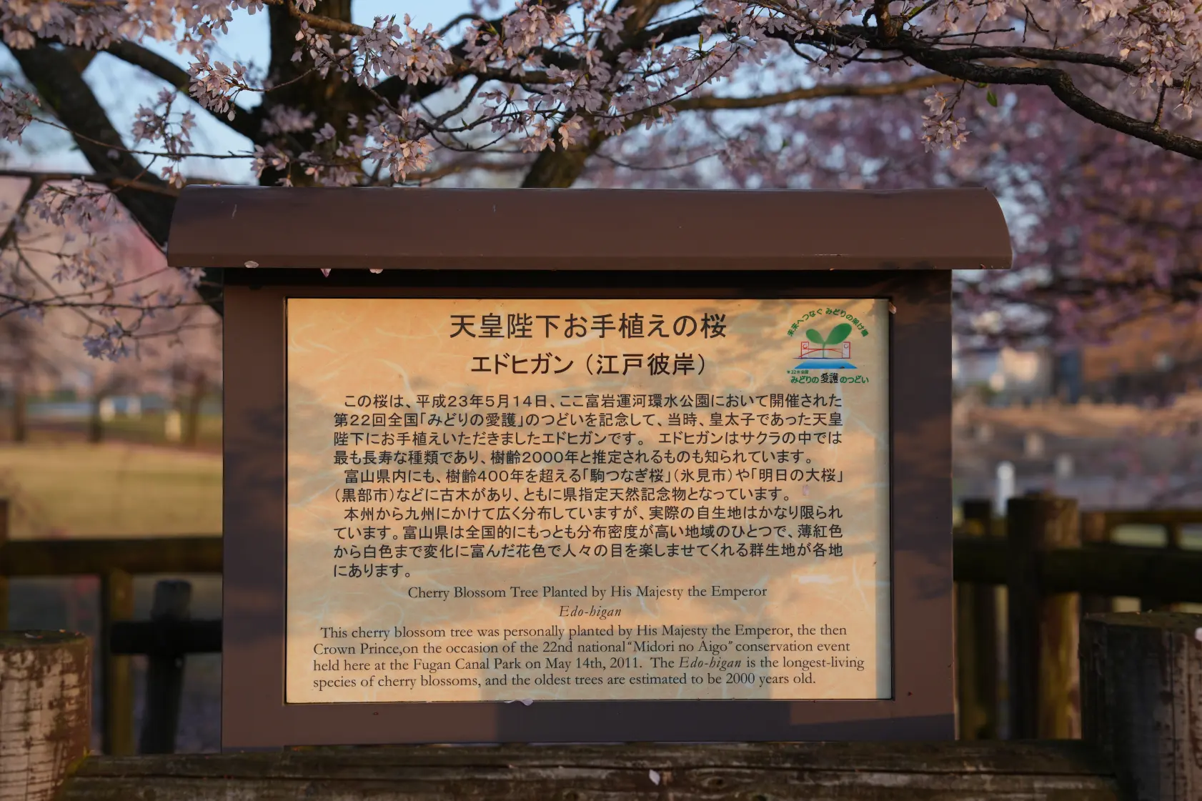 いつ訪れても美しい「富岩運河環水公園」-7