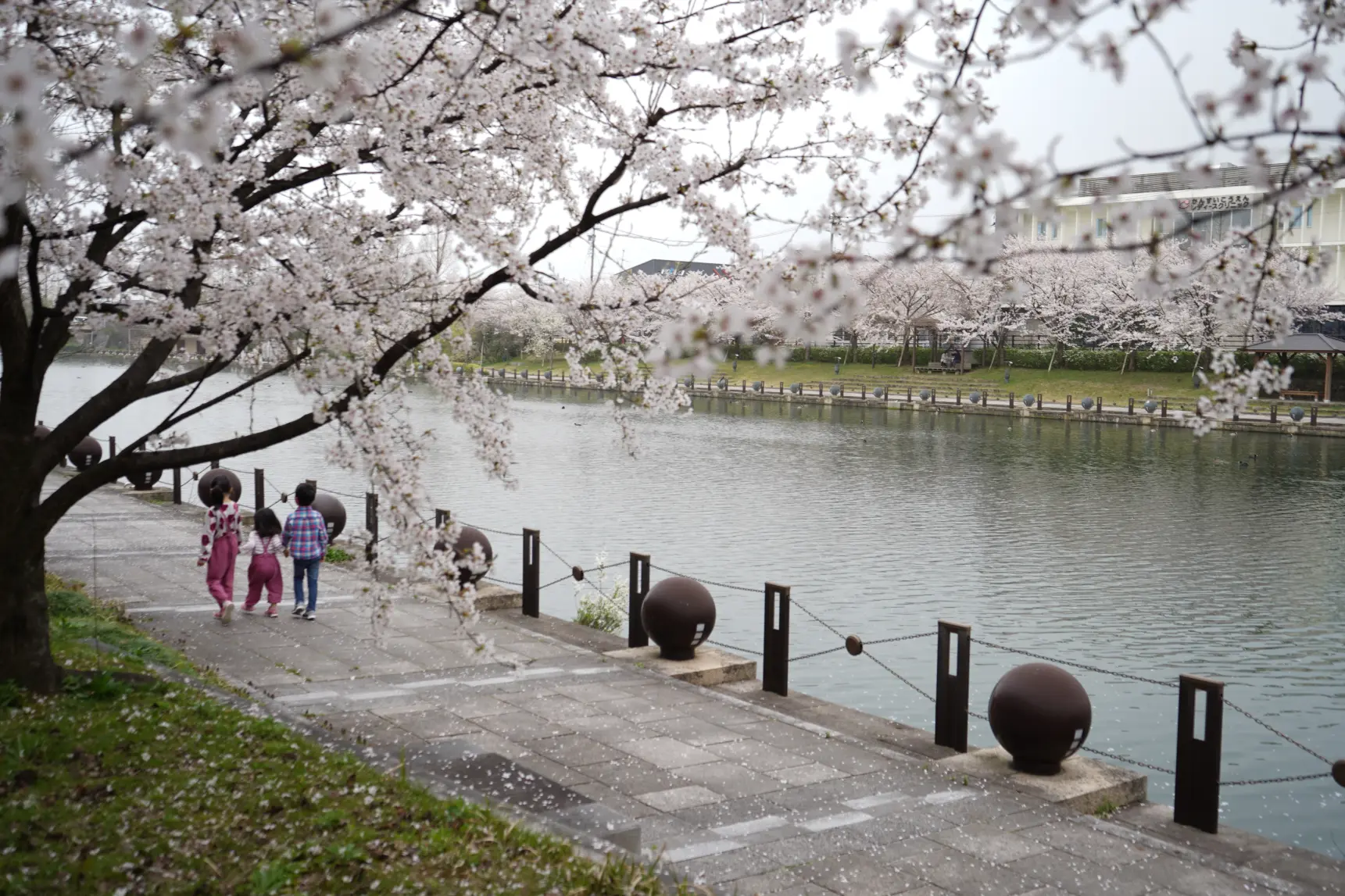 いつ訪れても美しい「富岩運河環水公園」-5