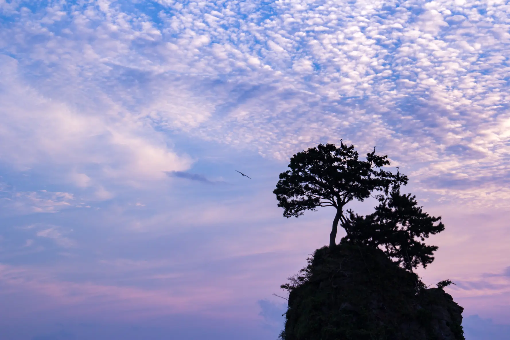 雨晴海岸で「自分だけの絶景」を探せ！-2