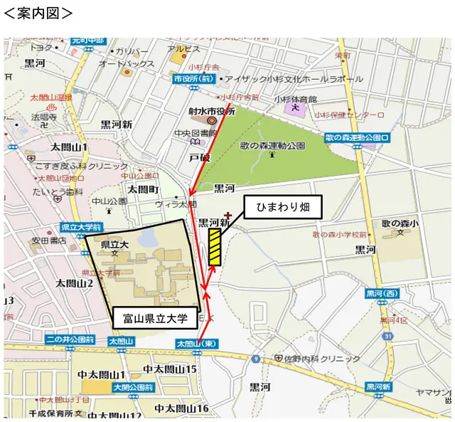 富山県立大学のひまわり畑がある場所-0