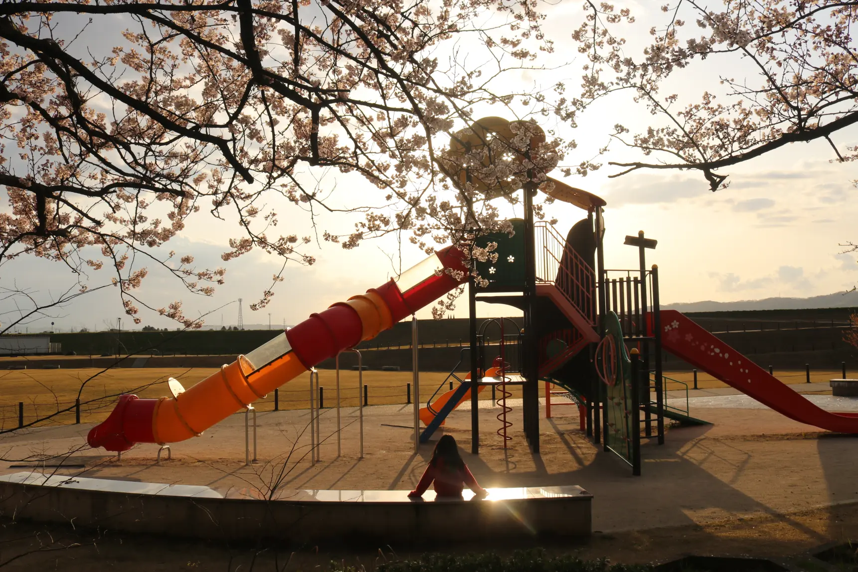 1、磯部川沿いの「布瀬公園」「磯部町公園」「安野屋町一丁目公園」！-0