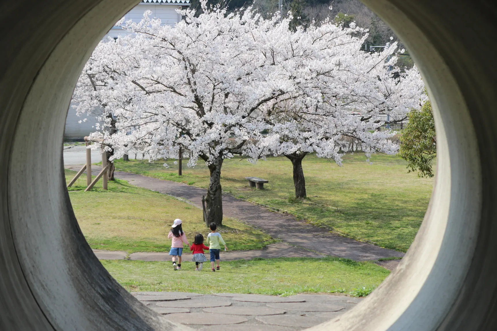 2、道の駅 細入にある「ふれあい公園」-1