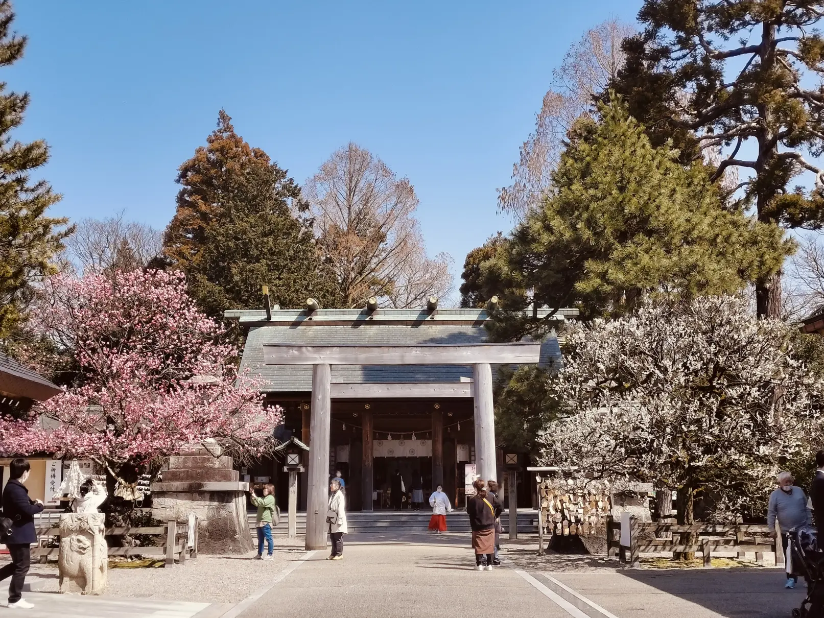 高岡古城公園内に鎮座する越中国一宮「射水神社」-0