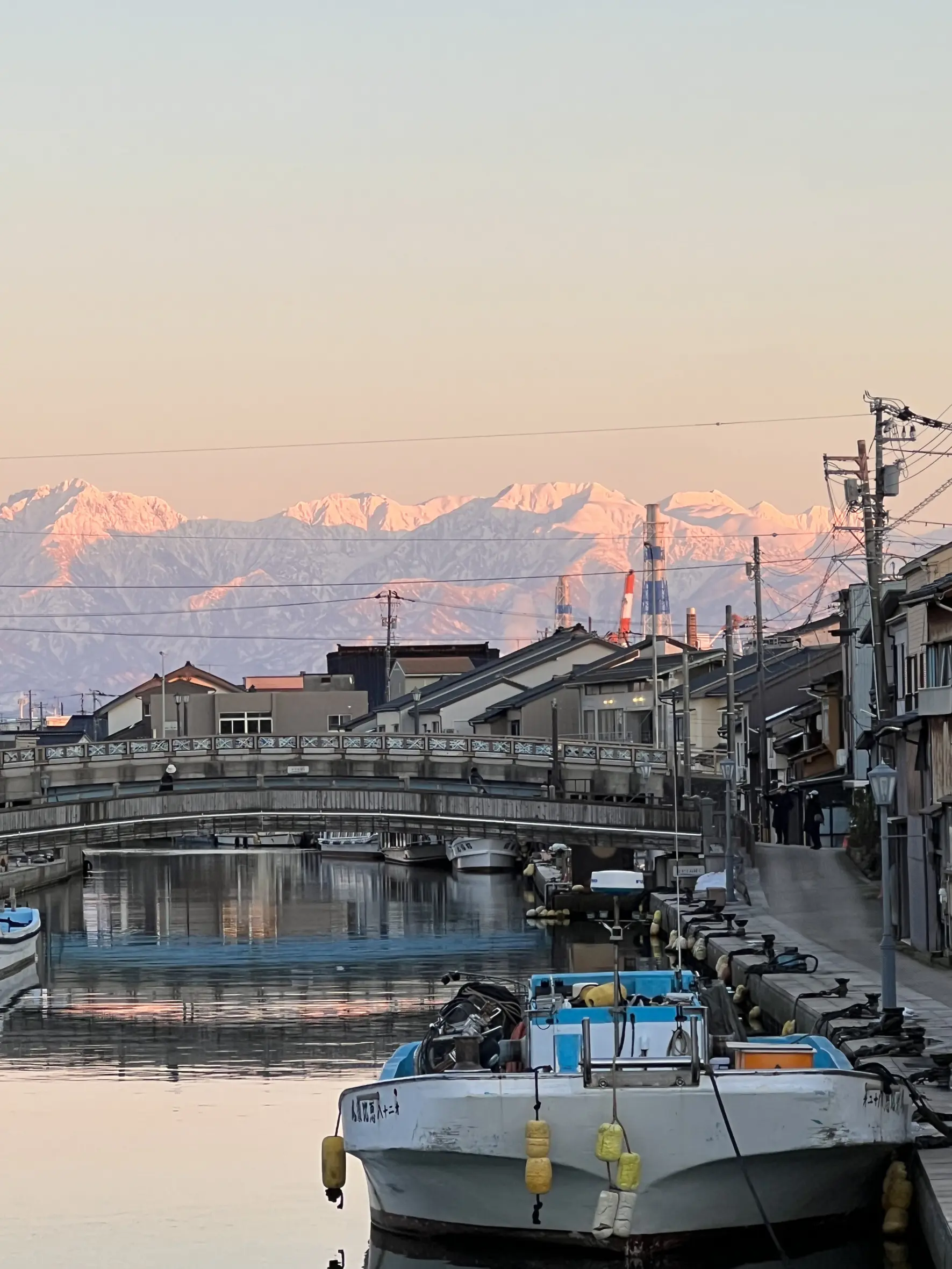 基本情報-2