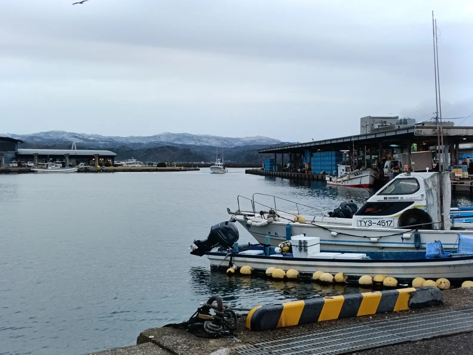 富山県内最大の漁獲高！「氷見漁港」-0