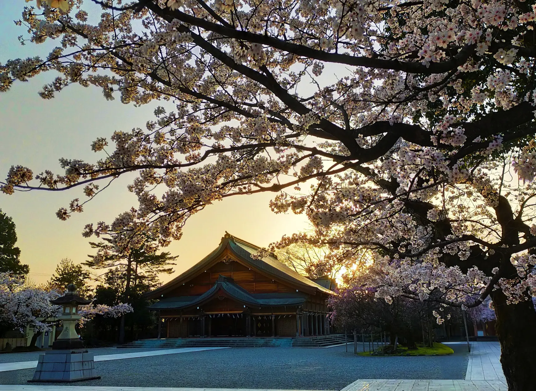 のみの市で賑わう「富山縣護國神社」-0