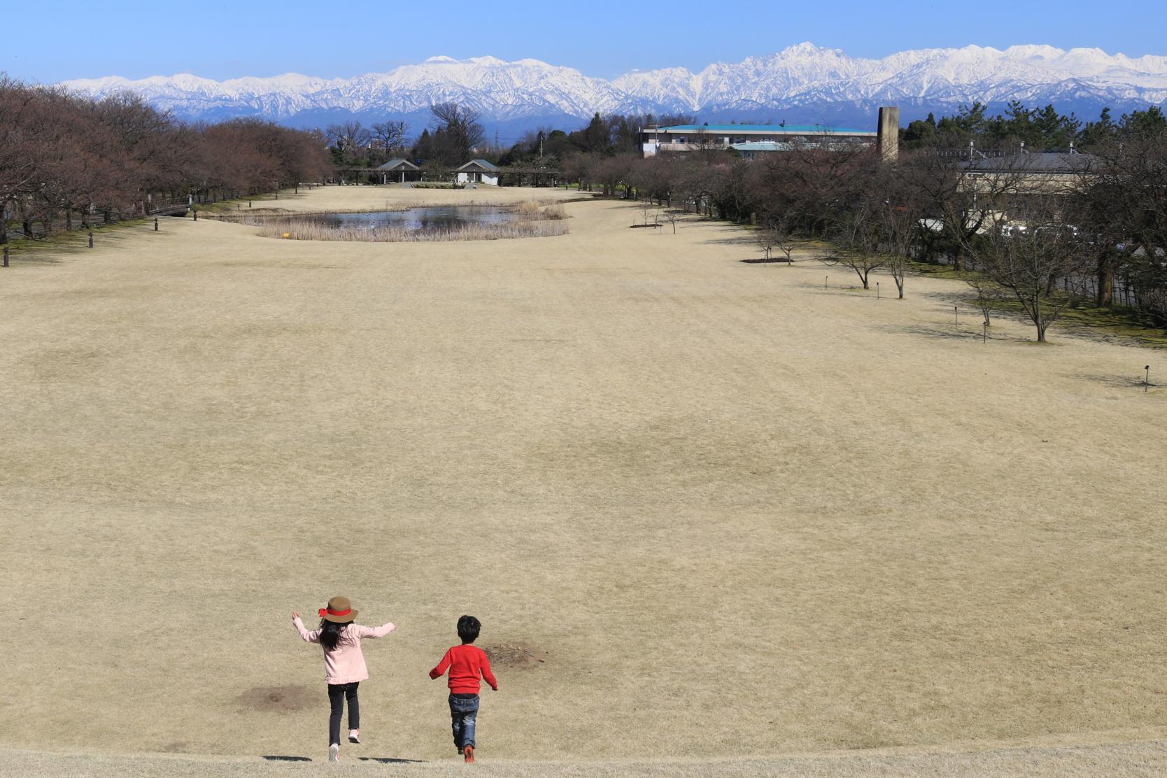 冬の絶景！立山連峰を眺められる「富山県中央植物園」-0