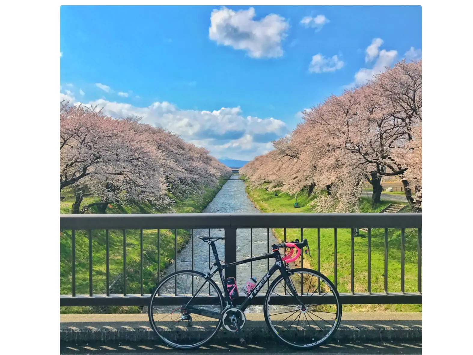 1-3.　あさひ舟川「春の四重奏」　28.3km地点-2