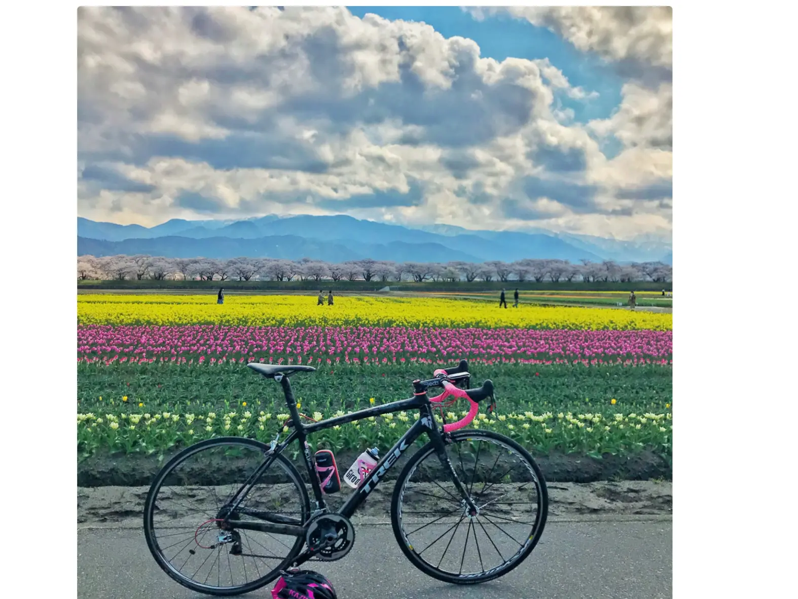 1-3.　あさひ舟川「春の四重奏」　28.3km地点-1