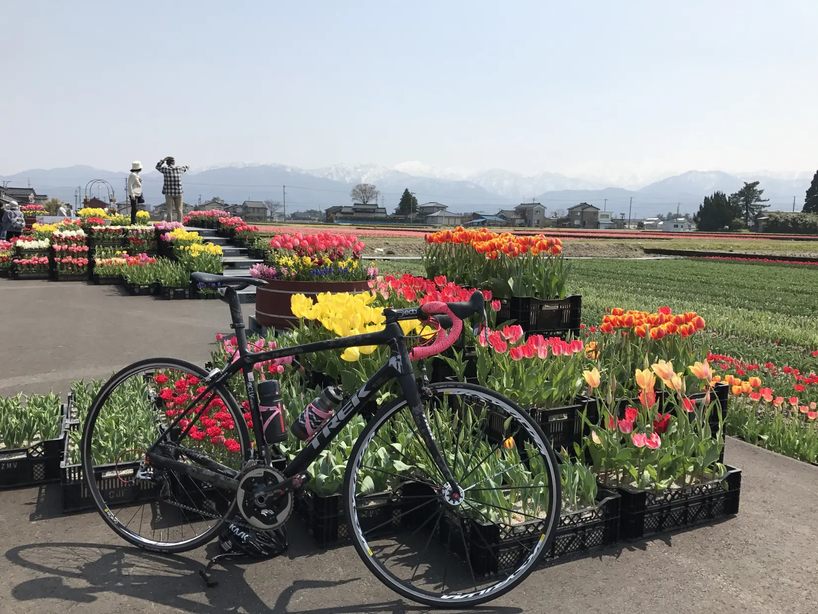 1-2.　にゅうぜんフラワーロード　20.3km地点-1