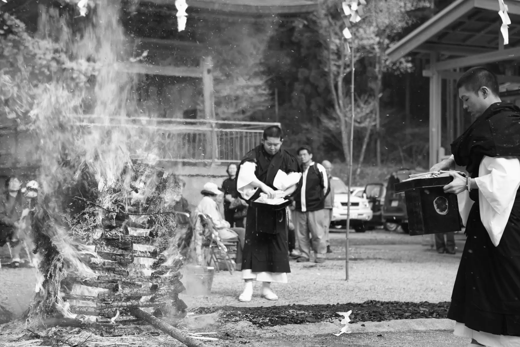 1-5.　明日の大桜（法福寺）　40.1km地点-5