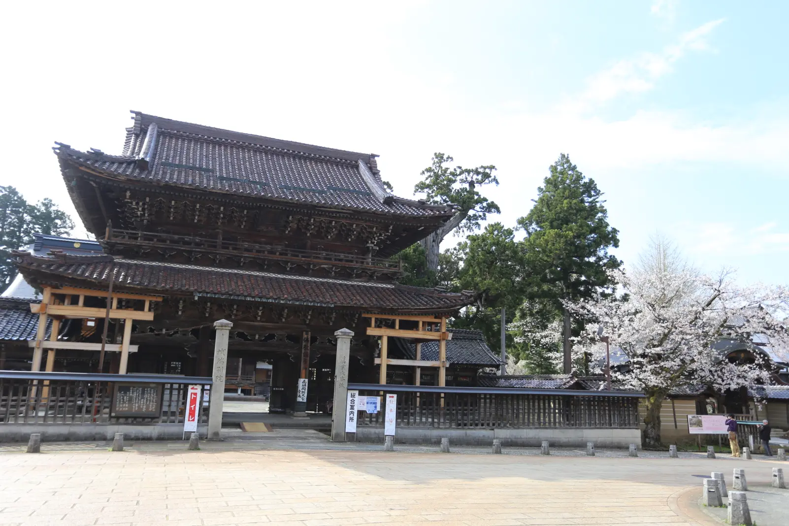 2-4.　城端別院 善徳寺「糸桜」　27.7km地点-2