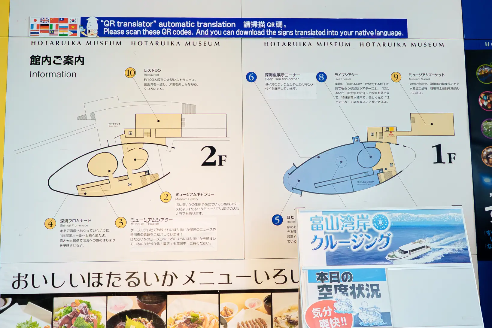 ほたるいかミュージアム-3