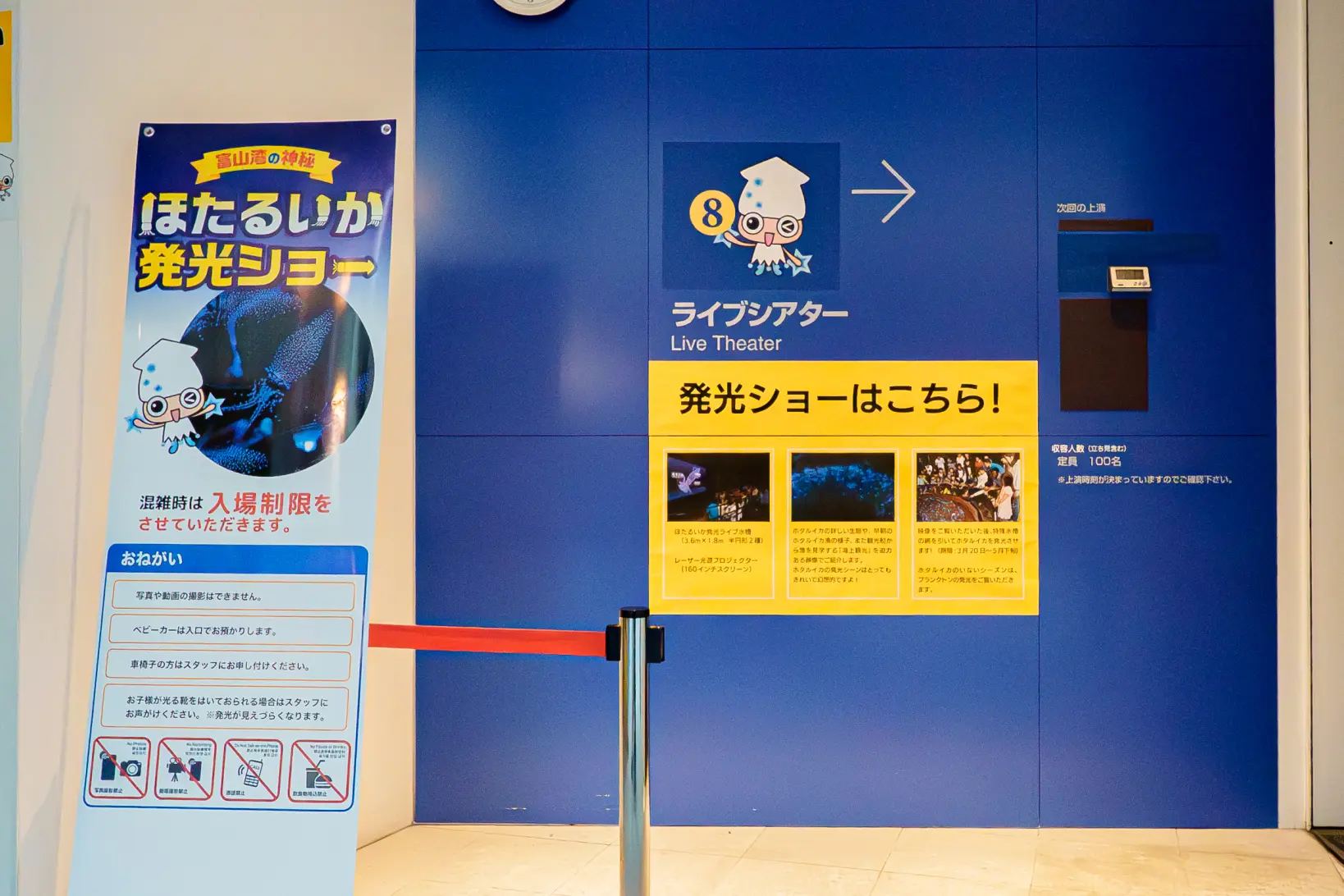 ほたるいか発光ショー-0