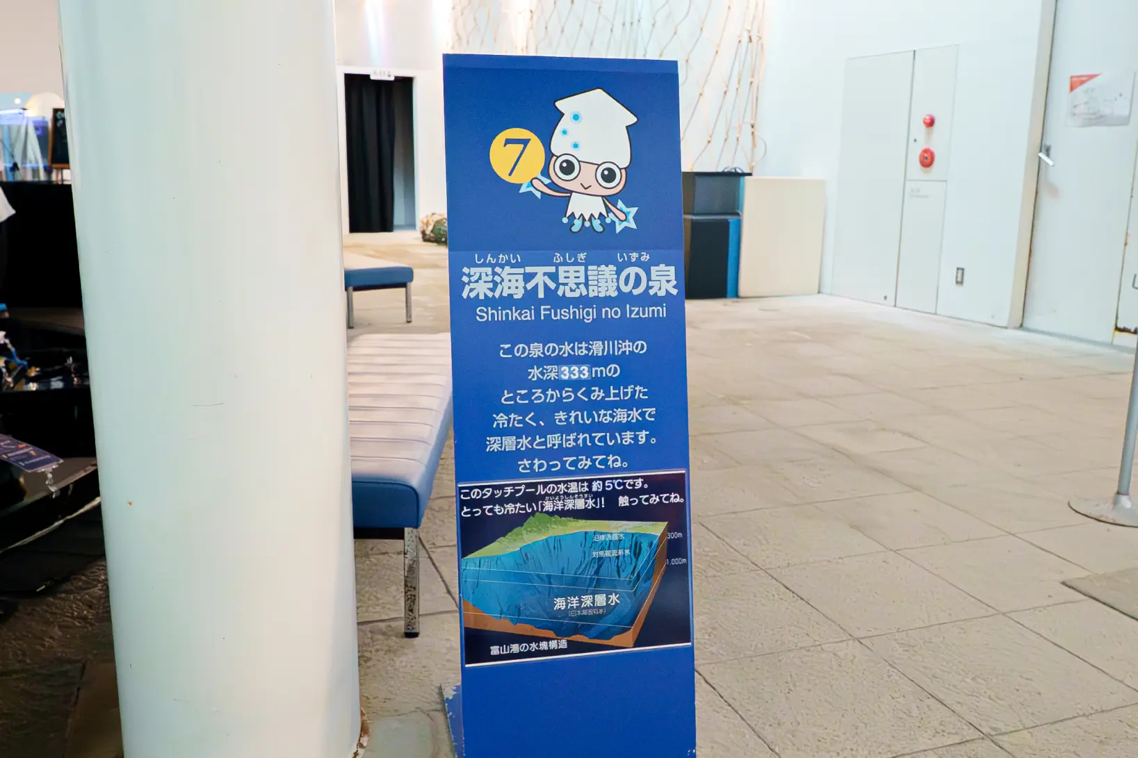 ホタルイカに触れられるコーナー！-0