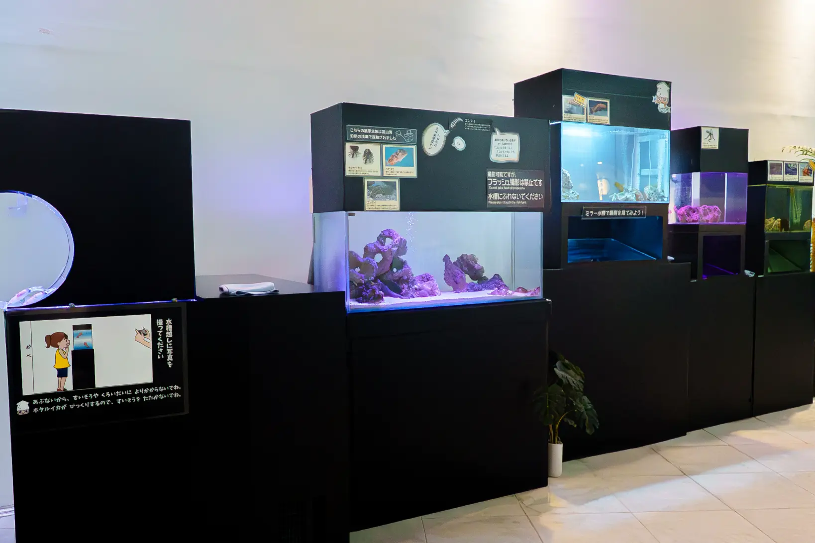 生き物たちの展示-1