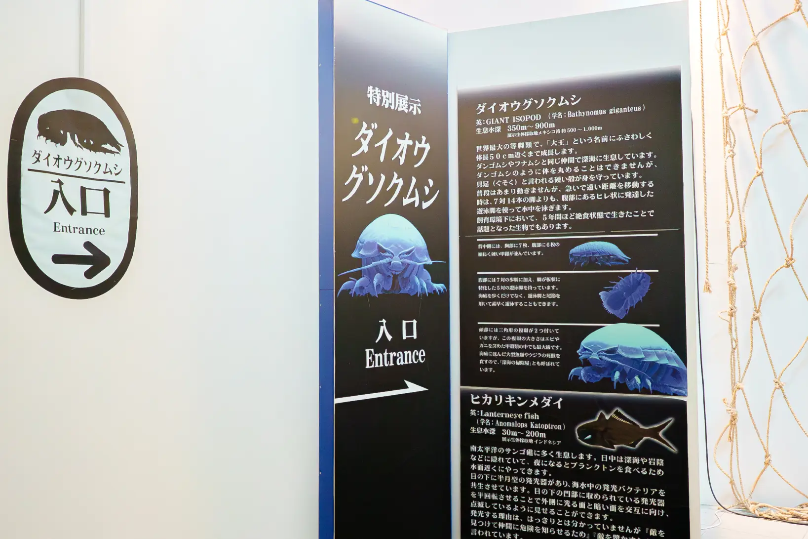 生き物たちの展示-2