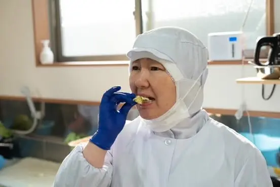 キャベツは“毎朝かじって”品質チェック-1