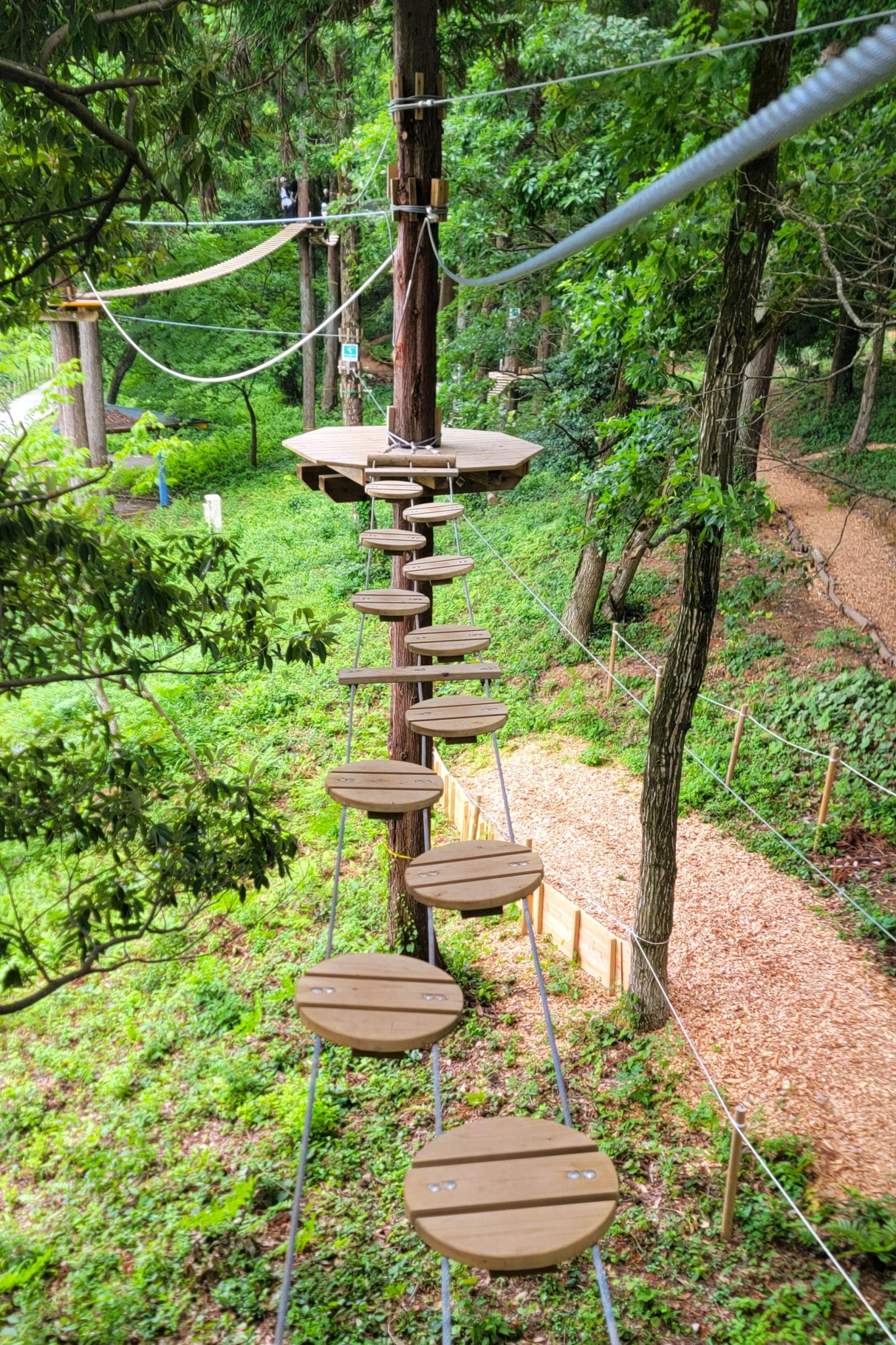 「チャレンジコース」とは？-0