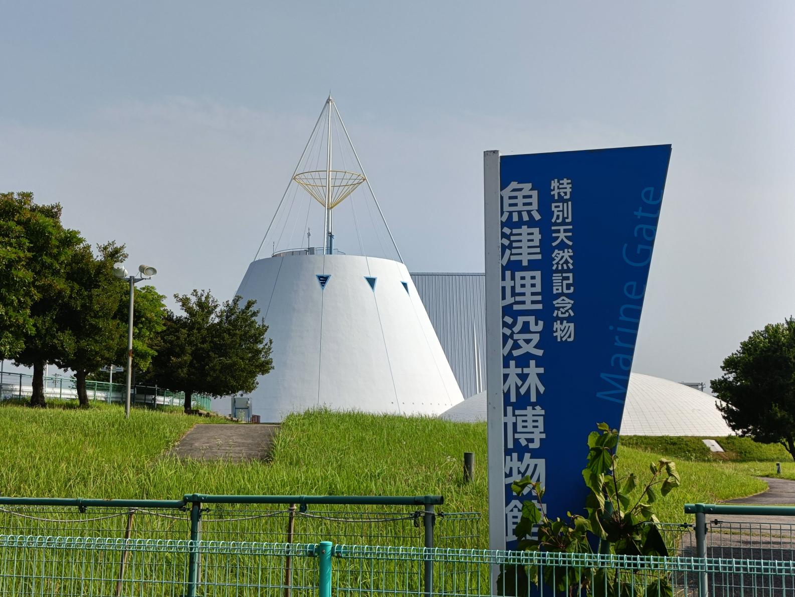 魚津の神秘を知る「魚津埋没林博物館」-1