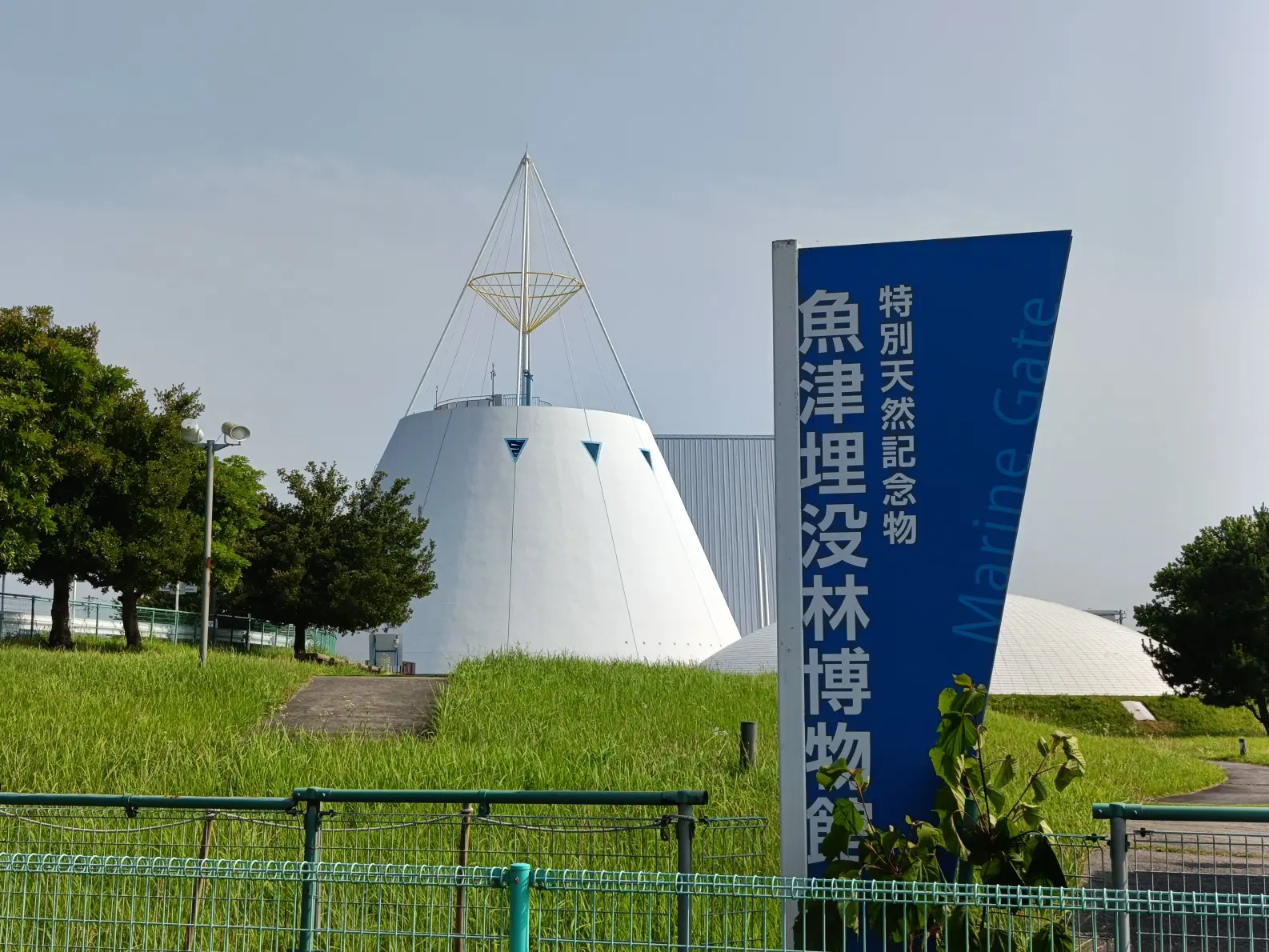 魚津の神秘を知る「魚津埋没林博物館」-1