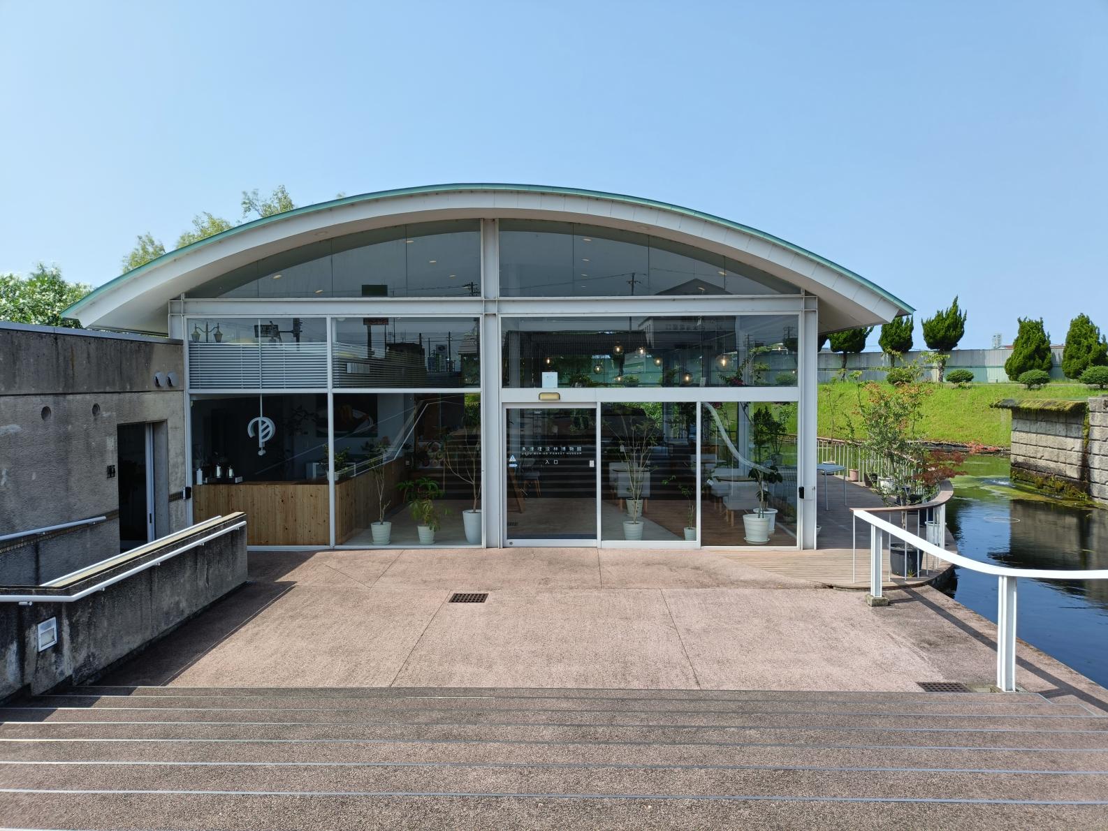 魚津の神秘を知る「魚津埋没林博物館」-0