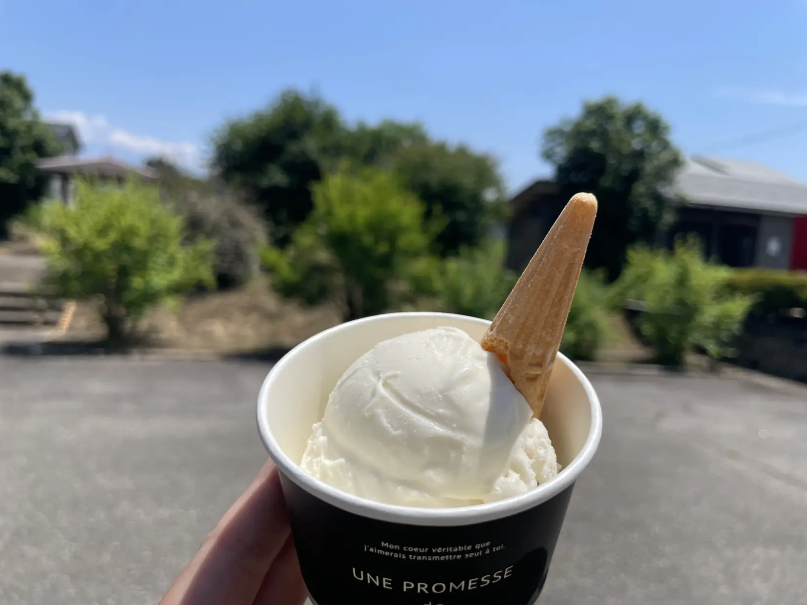 周辺のおすすめスポット-0