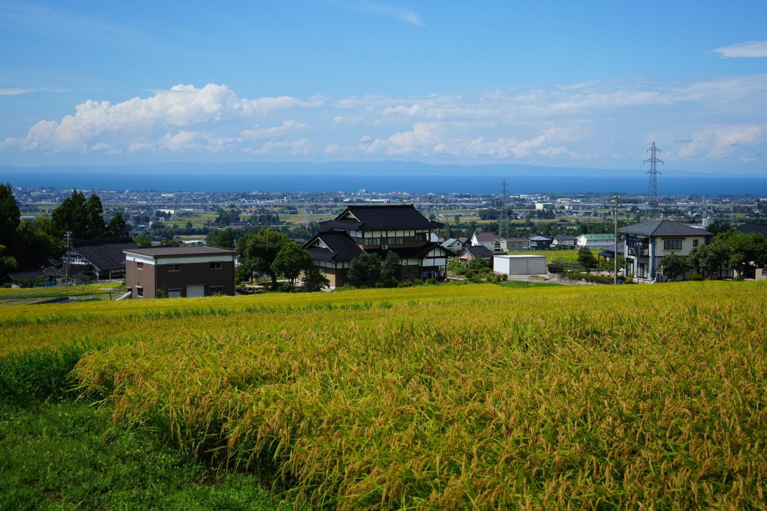 【車窓からの眺め】高台からの田園風景-1