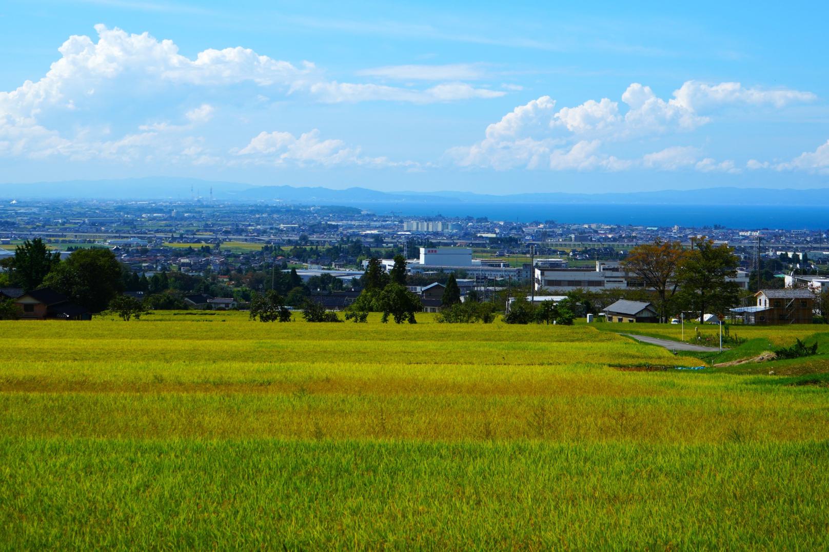 【車窓からの眺め】高台からの田園風景-0